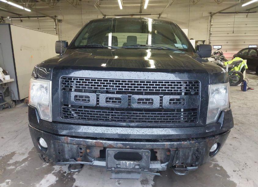 Photo 12 of 2013 Ford F-150 STX (VIN 1FTFX1EF5DFC99786)