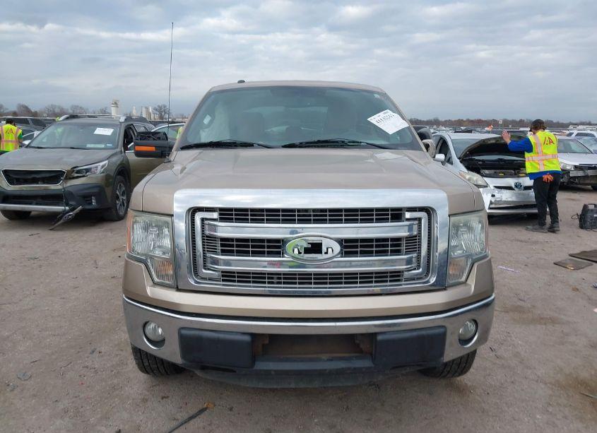 Photo 12 of 2013 Ford F-150 XLT (VIN 1FTFX1EF5DKD42465)