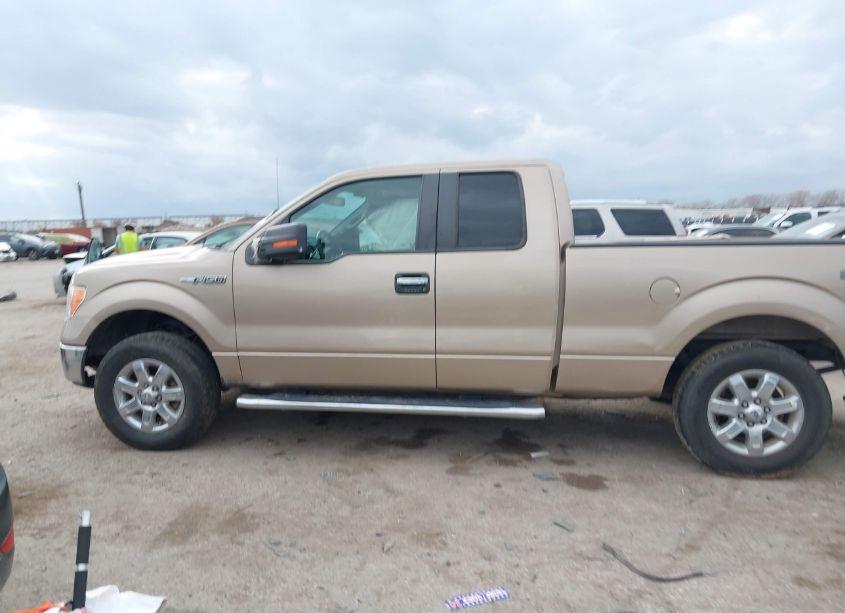 Photo 14 of 2013 Ford F-150 XLT (VIN 1FTFX1EF5DKD42465)