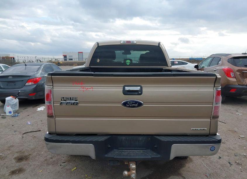 Photo 16 of 2013 Ford F-150 XLT (VIN 1FTFX1EF5DKD42465)