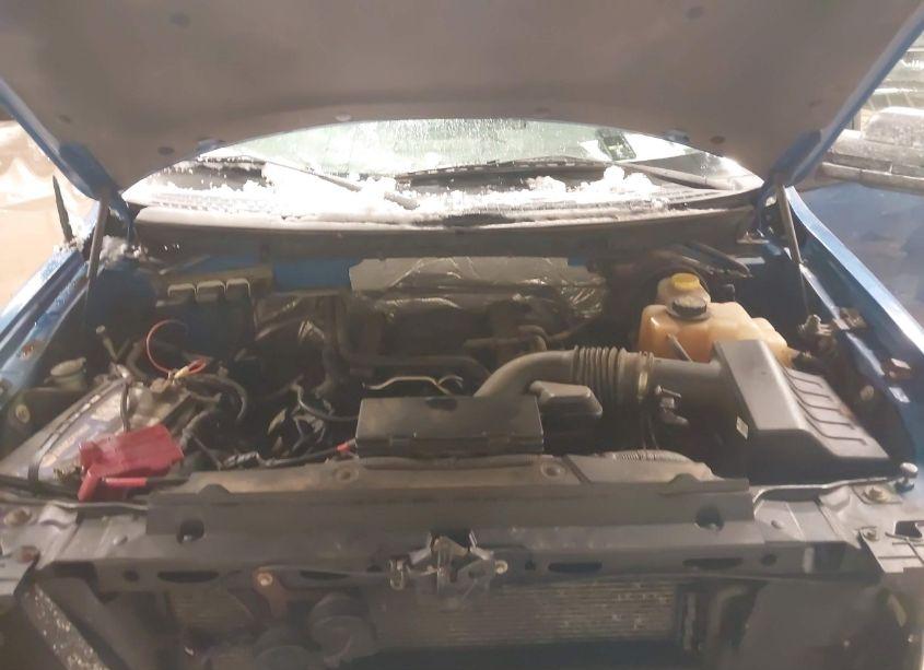 Photo 10 of 2014 Ford F-150 STX (VIN 1FTFX1EF5EFA74611)