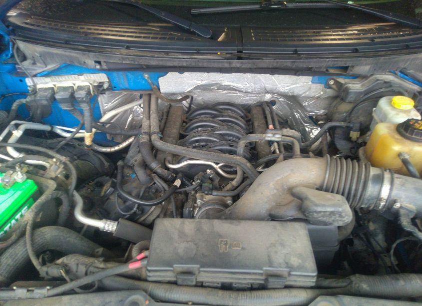 Photo 10 of 2014 Ford F-150 STX (VIN 1FTFX1EF5EFA81655)