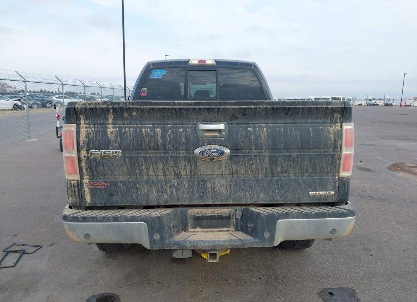 Photo 16 of 2014 Ford F-150 XLT (VIN 1FTFX1EF5EKG10075)