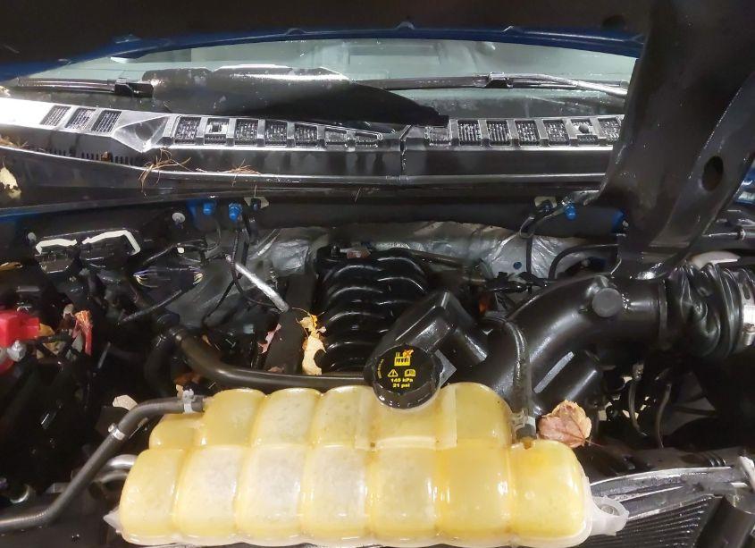 Photo 10 of 2015 Ford F-150 XLT (VIN 1FTFX1EF5FFC43723)