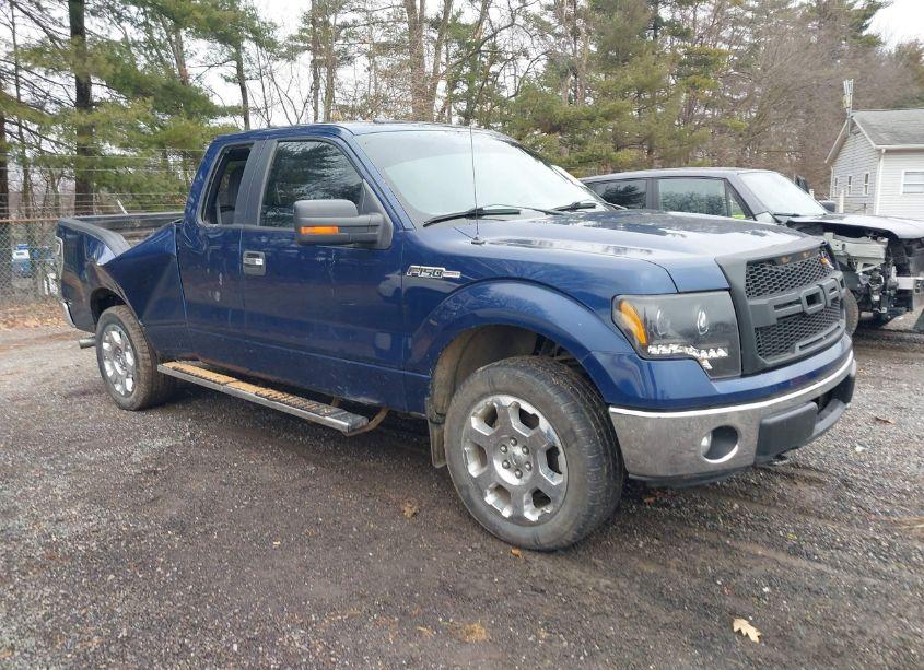 2011 Ford F-150 XLT (VIN 1FTFX1EF6BFA92675) main photo