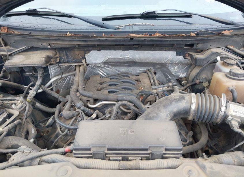 Photo 10 of 2011 Ford F-150 XLT (VIN 1FTFX1EF6BFA92675)