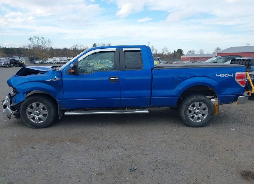 Photo 13 of 2011 Ford F-150 XLT (VIN 1FTFX1EF6BFD33814)