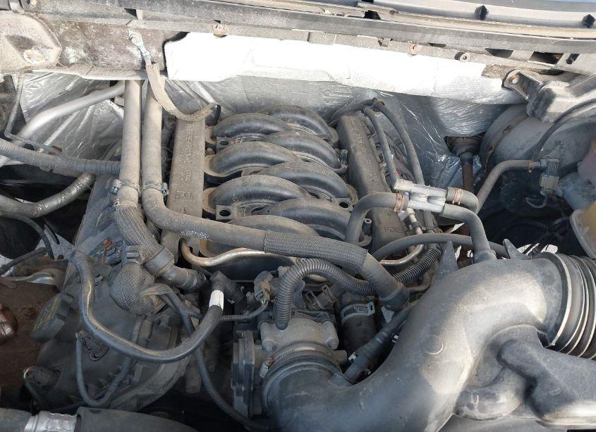 Photo 10 of 2012 Ford F-150 STX (VIN 1FTFX1EF6CKD41338)