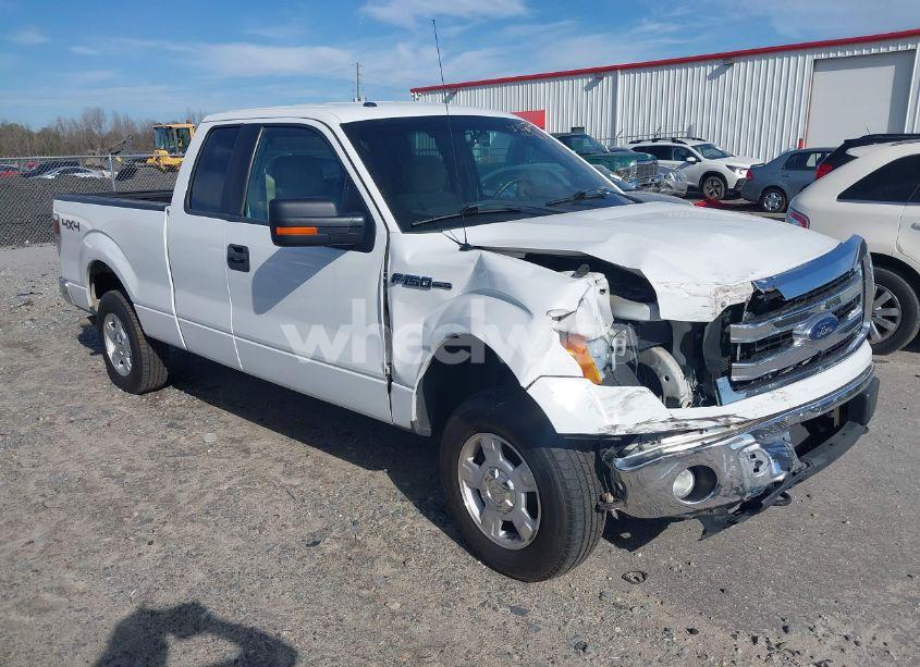 2013 Ford F-150 XLT (VIN 1FTFX1EF6DFA71344) main photo