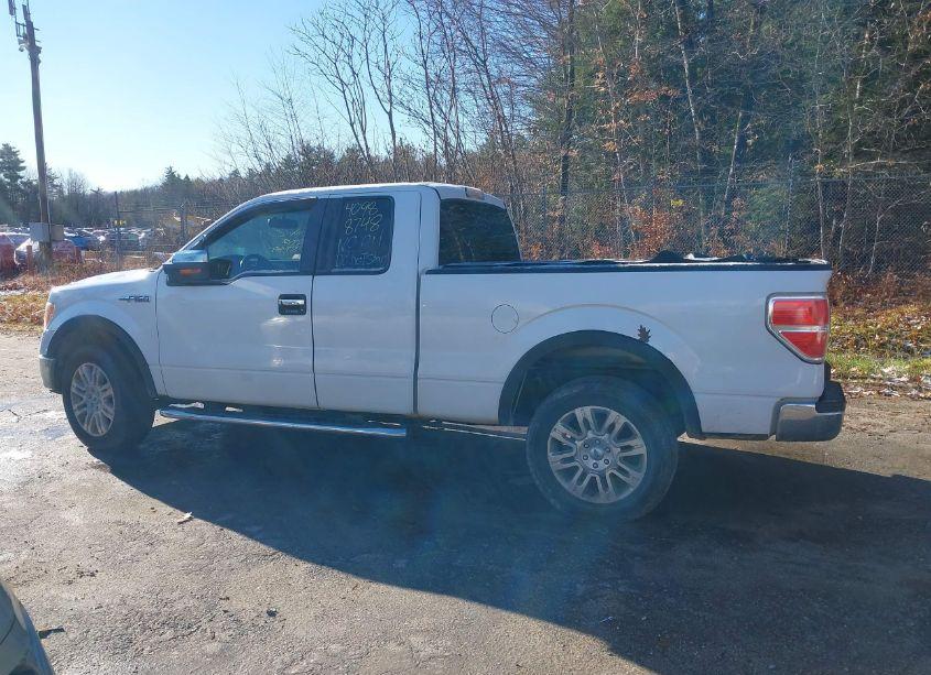 Photo 14 of 2013 Ford F-150 XLT (VIN 1FTFX1EF6DFB87305)