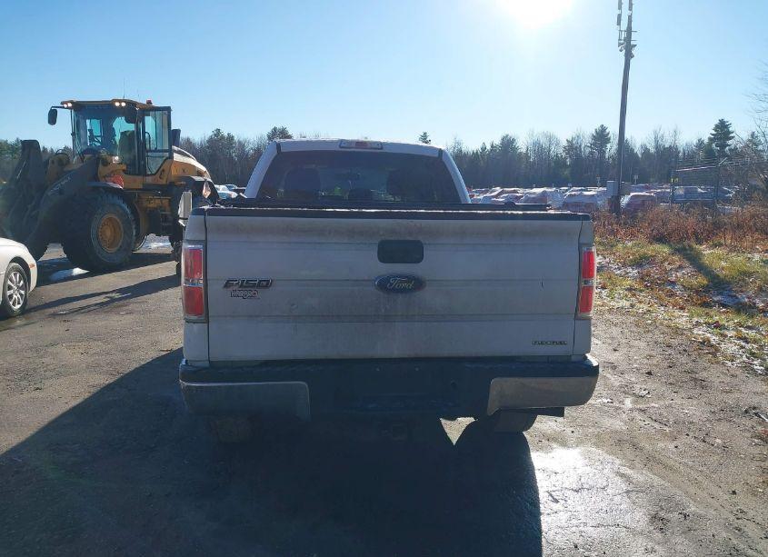 Photo 16 of 2013 Ford F-150 XLT (VIN 1FTFX1EF6DFB87305)