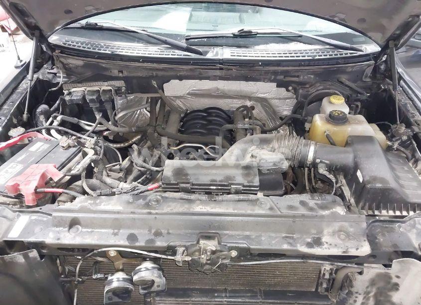 Photo 10 of 2014 Ford F-150 STX (VIN 1FTFX1EF6EKG50925)