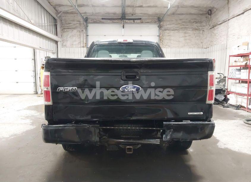 Photo 16 of 2014 Ford F-150 STX (VIN 1FTFX1EF6EKG50925)