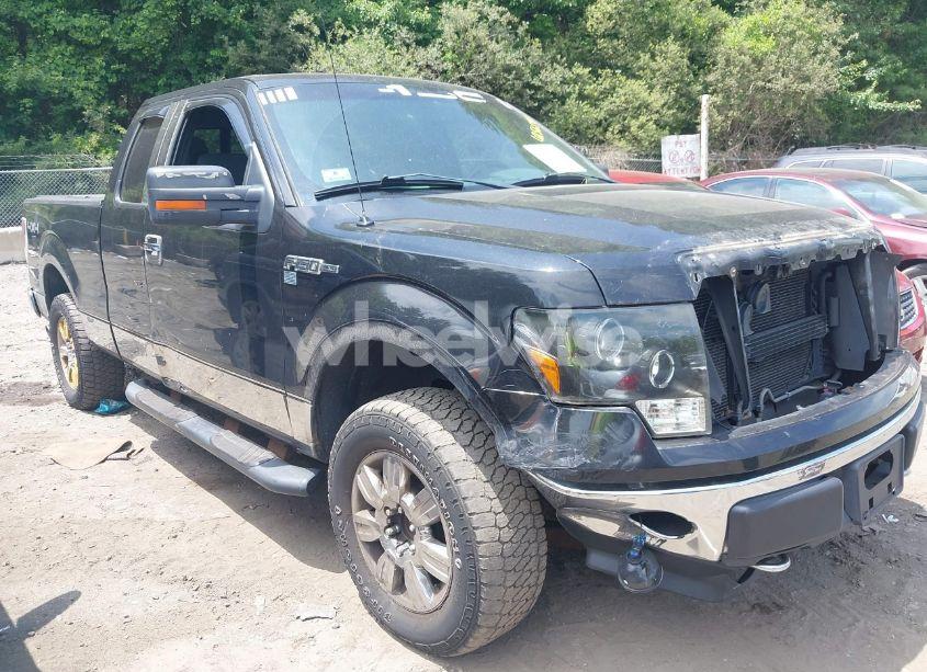 2012 Ford F-150 XLT (VIN 1FTFX1EF7CFA64319) main photo