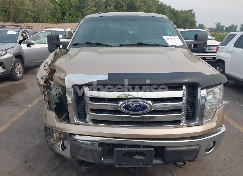 Photo 12 of 2012 Ford F-150 XLT (VIN 1FTFX1EF7CFB29492)