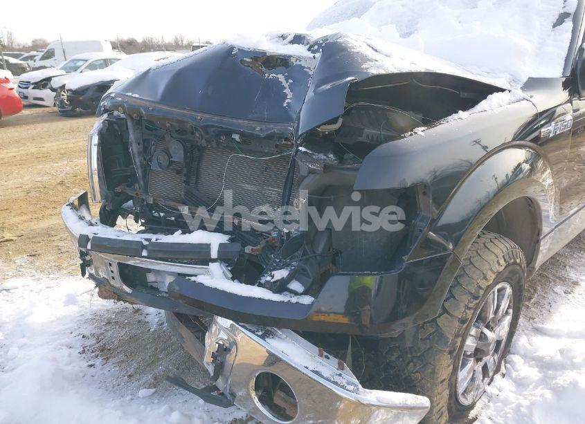 Photo 6 of 2011 Ford F-150 XLT (VIN 1FTFX1EF8BFC16896)