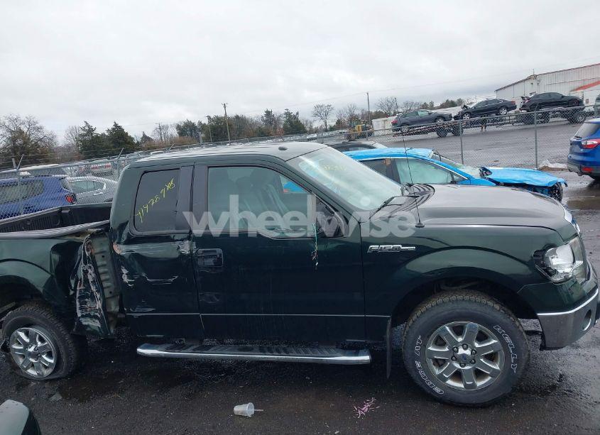 Photo 13 of 2013 Ford F-150 XLT (VIN 1FTFX1EF8DFB25646)