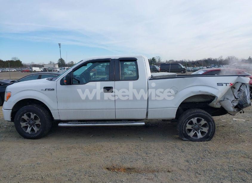 Photo 14 of 2013 Ford F-150 STX (VIN 1FTFX1EF8DKE21323)