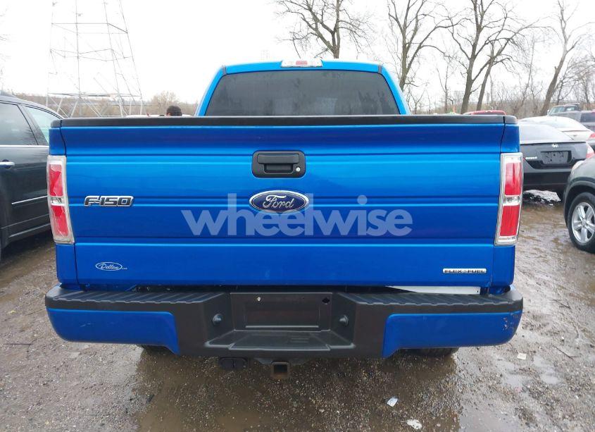 Photo 16 of 2013 Ford F-150 STX (VIN 1FTFX1EF8DKF92413)
