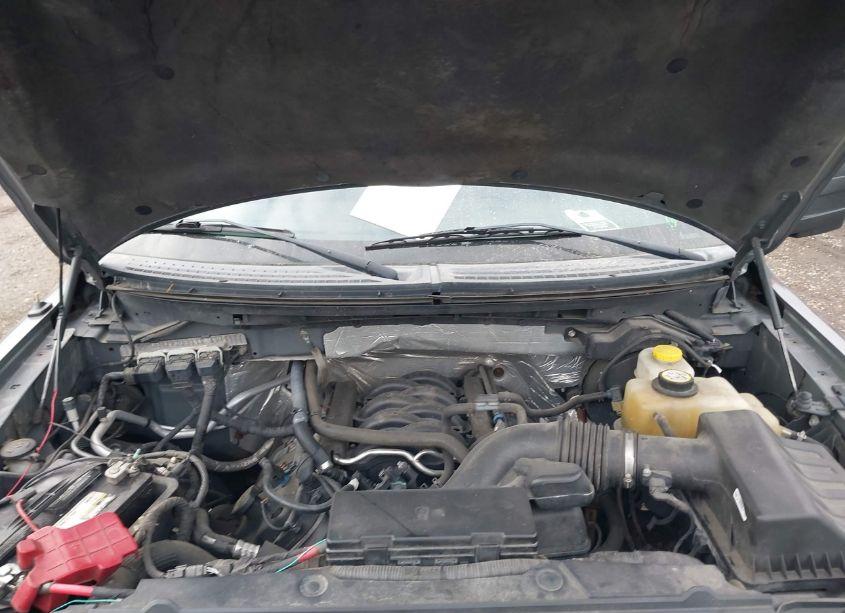 Photo 10 of 2014 Ford F-150 FX4 (VIN 1FTFX1EF8EFB20917)