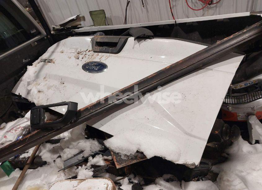 Photo 12 of 2017 Ford F-150 XL (VIN 1FTFX1EF8HFC37806)