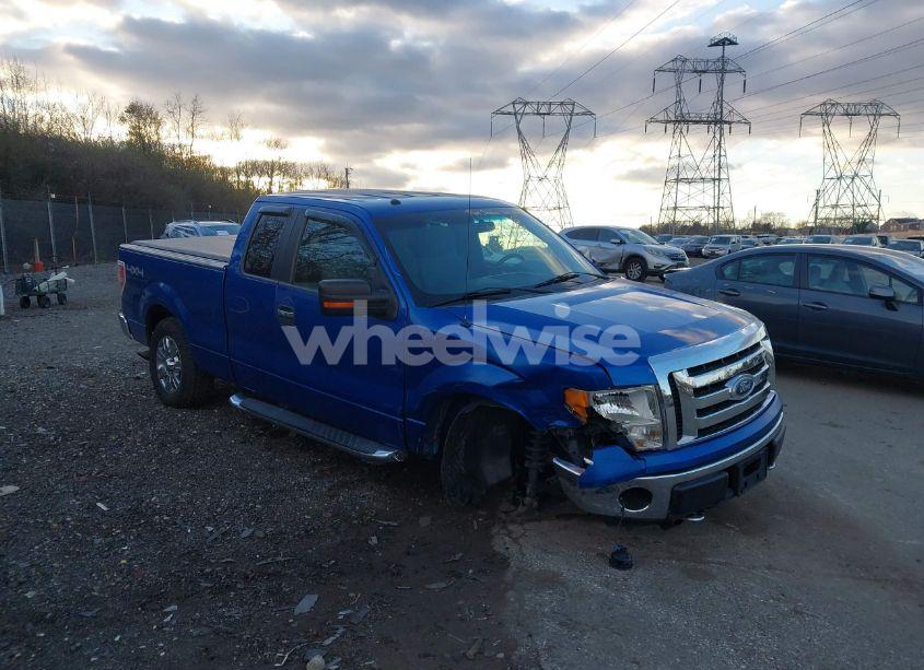 2011 Ford F-150 XLT (VIN 1FTFX1EF9BFA58455) main photo