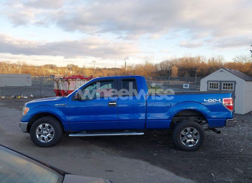 Photo 14 of 2011 Ford F-150 XLT (VIN 1FTFX1EF9BFA58455)
