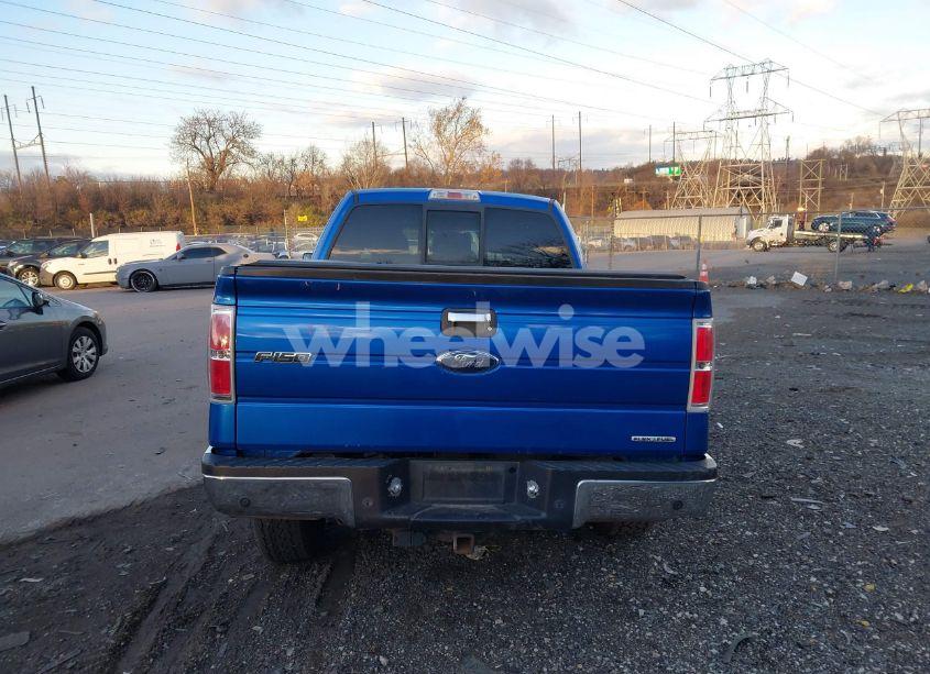 Photo 16 of 2011 Ford F-150 XLT (VIN 1FTFX1EF9BFA58455)