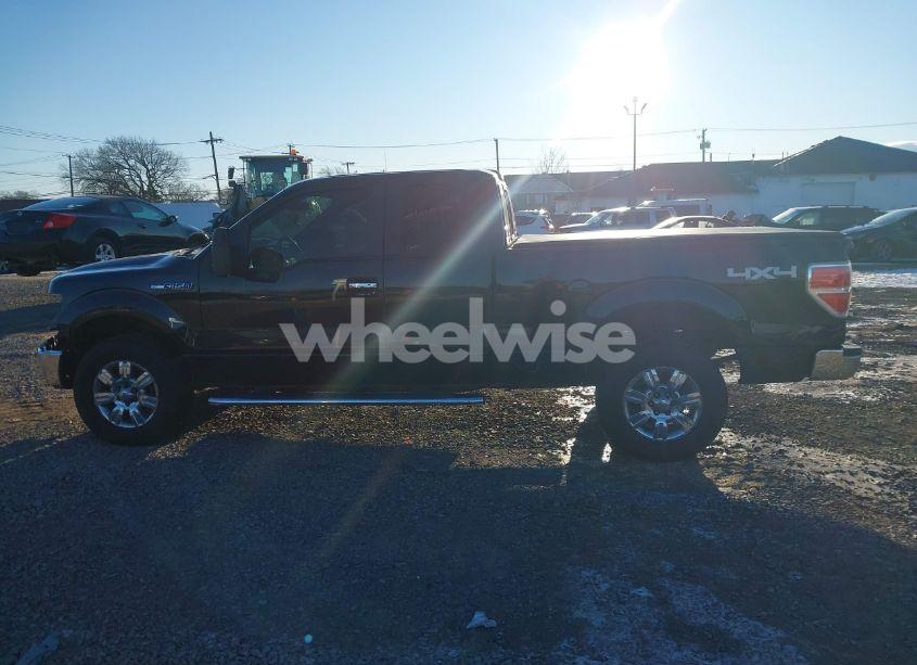 Photo 15 of 2011 Ford F-150 XLT (VIN 1FTFX1EF9BFB04818)