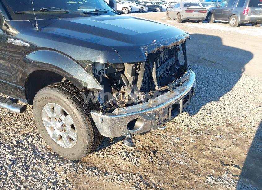 Photo 19 of 2011 Ford F-150 XLT (VIN 1FTFX1EF9BFB04818)