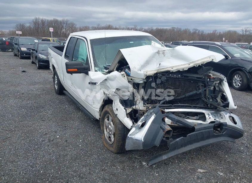 2011 Ford F-150 XLT (VIN 1FTFX1EF9BFB66042) main photo