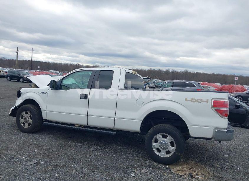 Photo 14 of 2011 Ford F-150 XLT (VIN 1FTFX1EF9BFB66042)