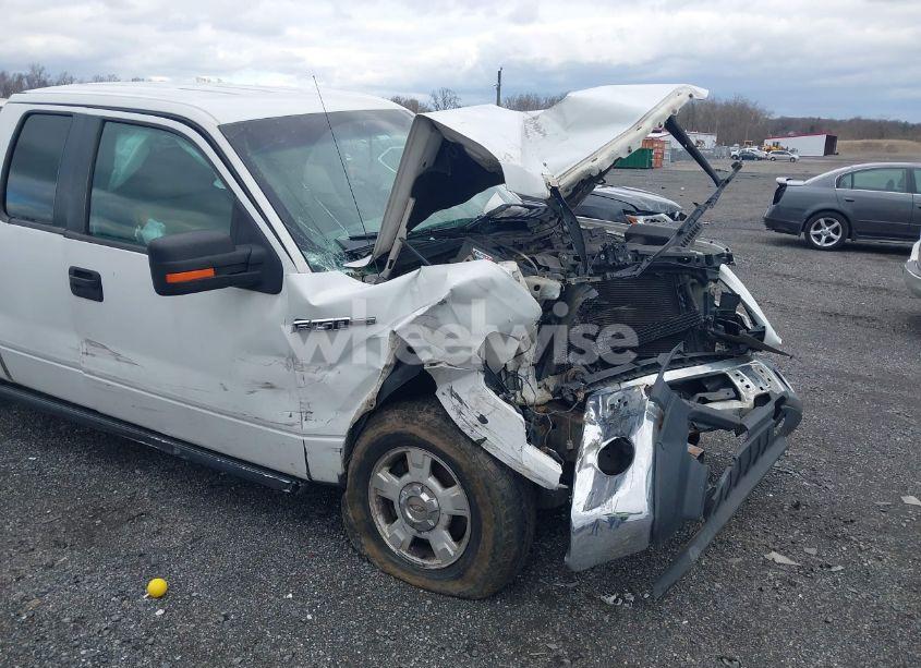 Photo 6 of 2011 Ford F-150 XLT (VIN 1FTFX1EF9BFB66042)