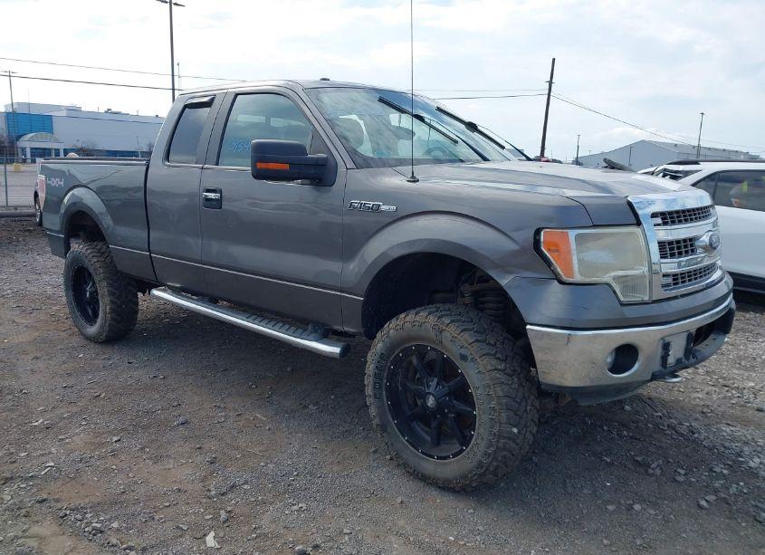 2013 Ford F-150 XLT (VIN 1FTFX1EF9DFA25748) main photo