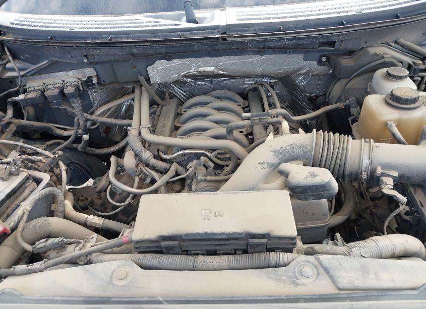 Photo 10 of 2013 Ford F-150 XLT (VIN 1FTFX1EF9DFA25748)