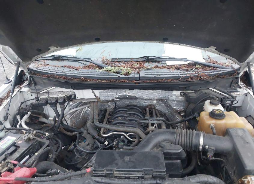 Photo 10 of 2013 Ford F-150 STX (VIN 1FTFX1EF9DFB36770)