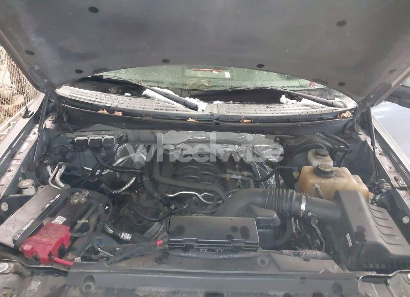 Photo 10 of 2013 Ford F-150 STX (VIN 1FTFX1EF9DKD78532)