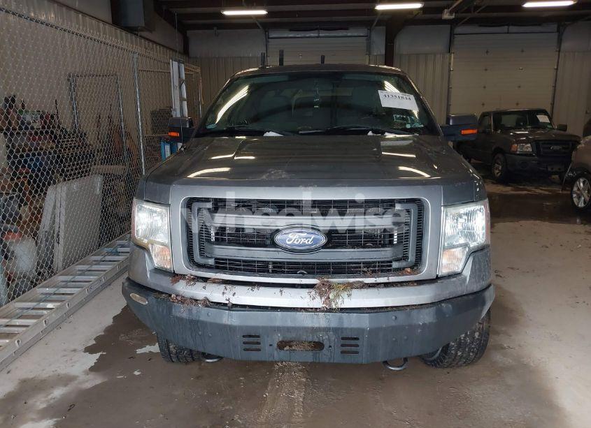 Photo 12 of 2013 Ford F-150 STX (VIN 1FTFX1EF9DKD78532)