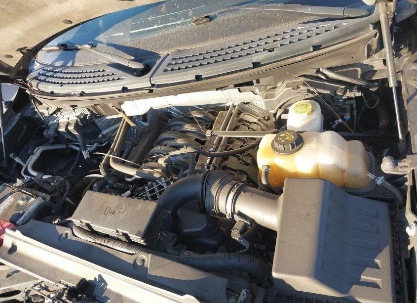 Photo 10 of 2014 Ford F-150 XLT (VIN 1FTFX1EF9EFC65433)