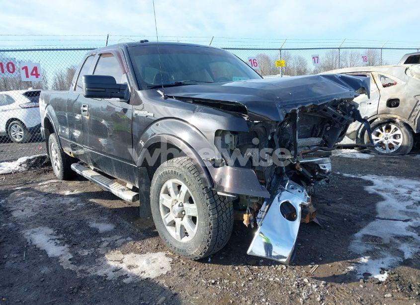 2013 Ford F-150 XLT (VIN 1FTFX1EFXDFC96379) main photo