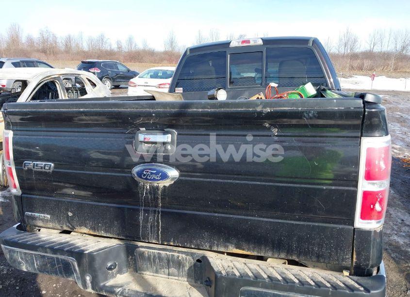 Photo 16 of 2013 Ford F-150 XLT (VIN 1FTFX1EFXDFC96379)