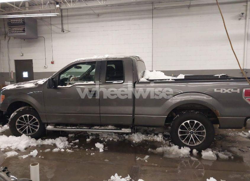 Photo 14 of 2013 Ford F-150 XLT (VIN 1FTFX1EFXDFD79309)