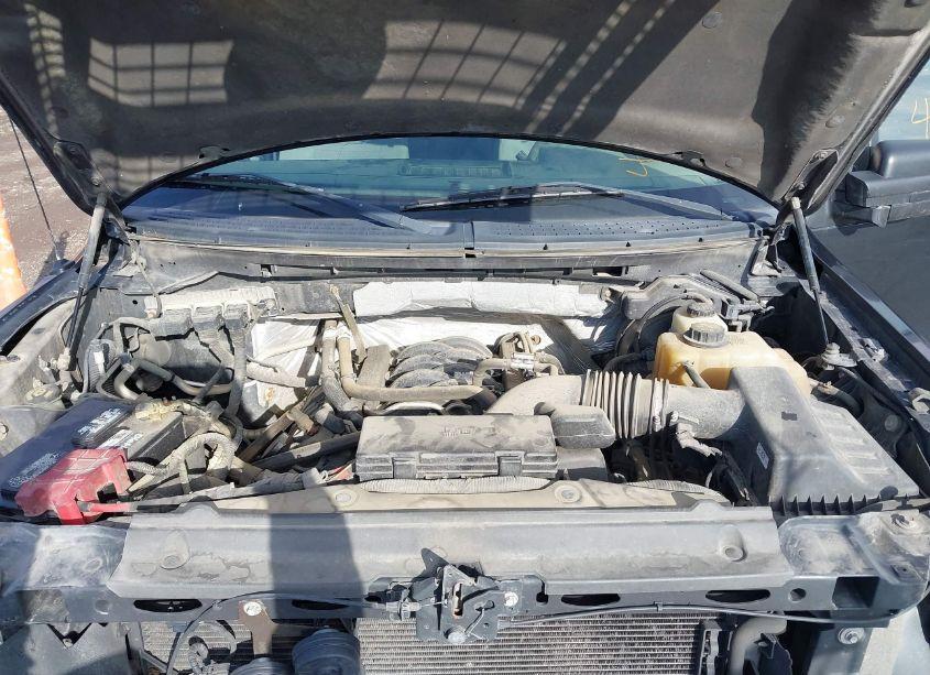 Photo 10 of 2013 Ford F-150 STX (VIN 1FTFX1EFXDFD98944)