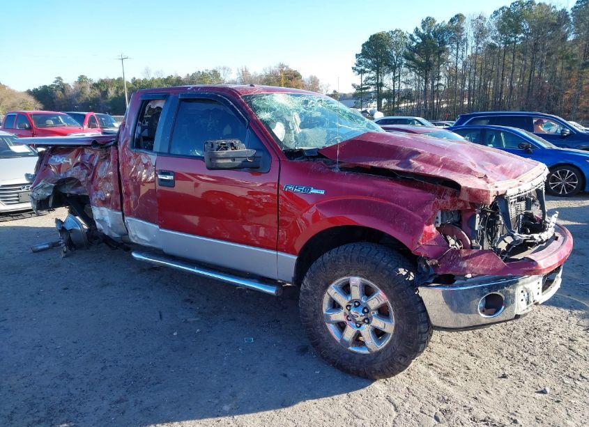 2014 Ford F-150 XLT (VIN 1FTFX1EFXEFA59800) main photo