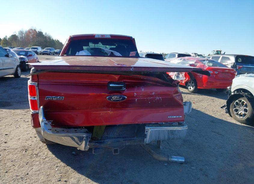 Photo 16 of 2014 Ford F-150 XLT (VIN 1FTFX1EFXEFA59800)