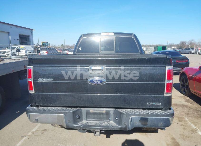 Photo 16 of 2014 Ford F-150 XLT (VIN 1FTFX1EFXEFA89489)