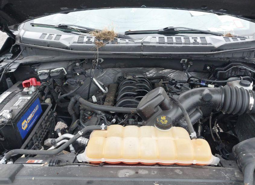 Photo 10 of 2015 Ford F-150 XLT (VIN 1FTFX1EFXFFD05536)