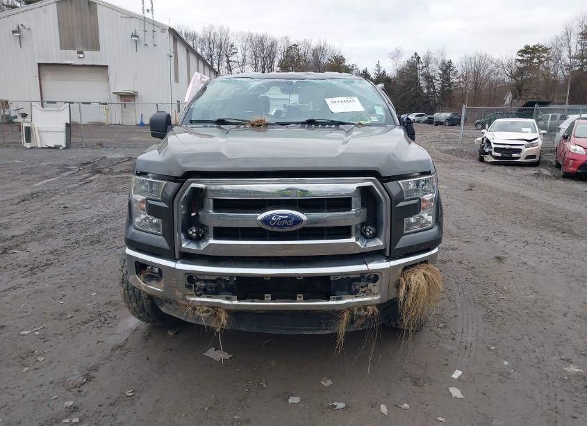 Photo 12 of 2015 Ford F-150 XLT (VIN 1FTFX1EFXFFD05536)