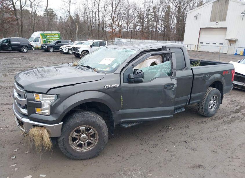 Photo 6 of 2015 Ford F-150 XLT (VIN 1FTFX1EFXFFD05536)