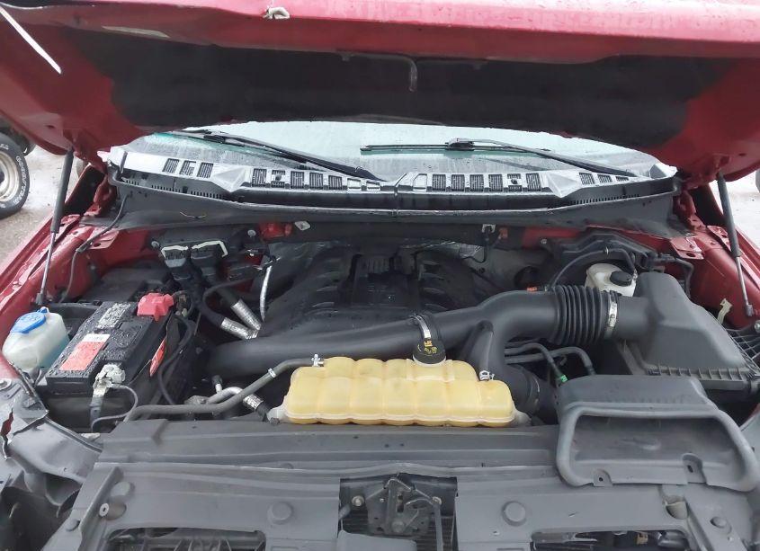 Photo 10 of 2016 Ford F-150 XLT (VIN 1FTFX1EG4GFA61229)